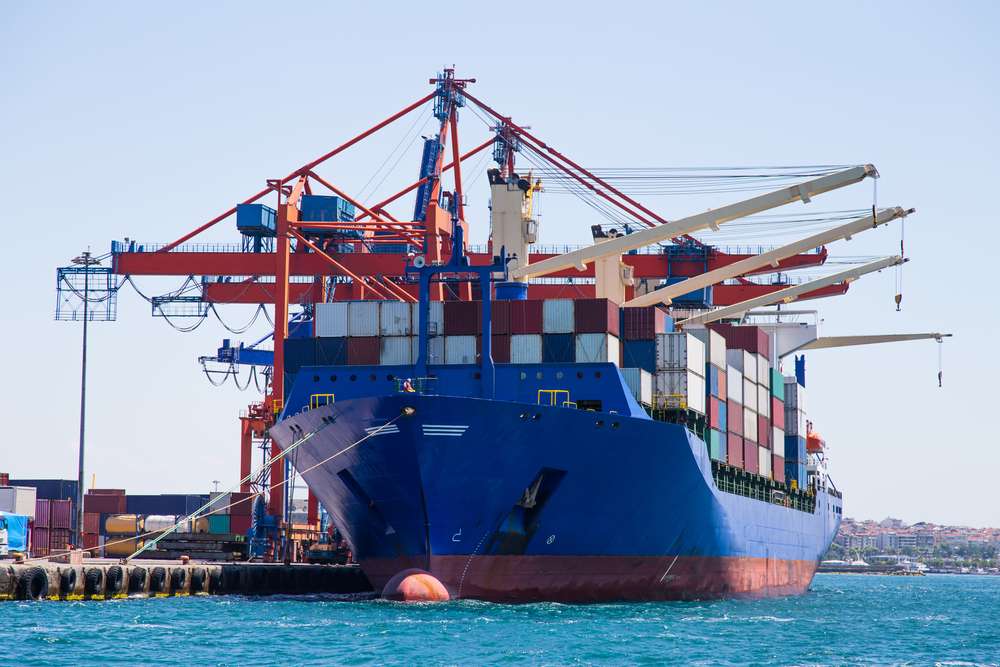 Everything You Need to Know About ECTN Document Verification and Customs Clearance